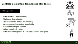 23
• Evitar a entrada de novas PD’s;
• Diminuir a disseminação;
• Uso de sementes de boa procedência;
• Limpeza de equipamento e maquinário;
• Efetuar controle pós-colheita;
• Utilizar rotação de culturas;
• Evitar a disseminação de PD em áreas vizinhas e margens.
Controle de plantas daninhas no algodoeiro
Método preventivo:
 