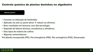 26
• Consiste na utilização de herbicidas;
• Aplicado via solo ou parte aérea  reduzir ou eliminar;
• Bons resultados em lavouras com alta tecnologia;
• Depende de fatores técnicos, econômicos e climáticos;
• Dois tipos de sistema de cultivo;
• Algumas nomenclaturas:
Pré-plantio incorporado (PPI), Pré-emergência (PRE), Pós-emergência (POS), Dessecação.
Controle químico de plantas daninhas no algodoeiro
Método químico:
 