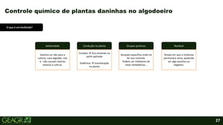 27
Controle químico de plantas daninhas no algodoeiro
Seletividade
Seletivo ou não para a
cultura, caso algodão. Isto
é, não causam injúrias
severas a cultura.
Condução na planta
Contato  fica somente na
parte aplicada
Sistêmico  translocação
na planta
O que é um herbicida?
Grupos químicos
Atuação específica onde irá
ter seu controlo.
Podem ser inibidores de
rotas metabólicas...
Residual
Tempo em que a molécula
permanece ativa, podendo
ser algo positivo ou
negativo.
 