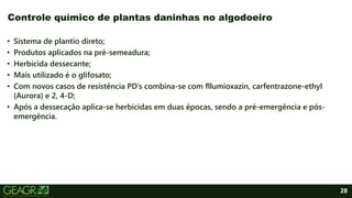 28
• Sistema de plantio direto;
• Produtos aplicados na pré-semeadura;
• Herbicida dessecante;
• Mais utilizado é o glifosato;
• Com novos casos de resistência PD’s combina-se com fllumioxazin, carfentrazone-ethyl
(Aurora) e 2, 4-D;
• Após a dessecação aplica-se herbicidas em duas épocas, sendo a pré-emergência e pós-
emergência.
Controle químico de plantas daninhas no algodoeiro
 