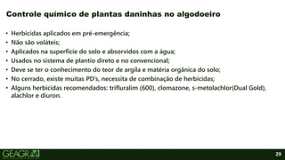 29
• Herbicidas aplicados em pré-emergência;
• Não são voláteis;
• Aplicados na superfície do solo e absorvidos com a água;
• Usados no sistema de plantio direto e no convencional;
• Deve se ter o conhecimento do teor de argila e matéria orgânica do solo;
• No cerrado, existe muitas PD’s, necessita de combinação de herbicidas;
• Alguns herbicidas recomendados: trifluralim (600), clomazone, s-metolachlor(Dual Gold),
alachlor e diuron.
Controle químico de plantas daninhas no algodoeiro
 