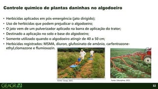 32
• Herbicidas aplicados em pós-emergência (jato dirigido);
• Uso de herbicidas que podem prejudicar o algodoeiro;
• O jato vem de um pulverizador aplicado na barra de aplicação do trator;
• Destinado a aplicação no solo e base do algodoeiro;
• Somente utilizado quando o algodoeiro atingir de 40 a 50 cm;
• Herbicidas registrados: MSMA, diuron, glufosinato de amônio, carfentrazone-
ethyl,clomazone e flumioxazin.
Controle químico de plantas daninhas no algodoeiro
Fonte: Cocap, 2021. Fonte: Edisciplina, 2021.
 