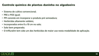 33
• Sistema de cultivo convencional;
• PRE e POS igual;
• PPI consiste em incorporar o produto pré semeadura;
• Herbicidas altamente voláteis;
• Incorporados entre 8 a 10 cm no solo;
• Solo bem preparado;
• O trifluralim tem sido um dos herbicidas de maior uso nesta modalidade de aplicação.
Controle químico de plantas daninha no algodoeiro
 