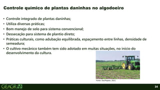 34
• Controle integrado de plantas daninhas;
• Utiliza diversas práticas;
• Bom manejo de solo para sistema convencional;
• Dessecação para sistema de plantio direto;
• Práticas culturais, como adubação equilibrada, espaçamento entre linhas, densidade de
semeadura;
• O cultivo mecânico também tem sido adotado em muitas situações, no início do
desenvolvimento da cultura.
Controle químico de plantas daninhas no algodoeiro
Fonte: DocPlayeer, 2021.
 