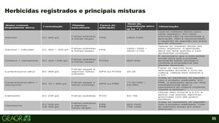 35
• Tópicos, subtópicos e corpos de textos.
Herbicidas registrados e principais misturas
 