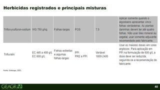 40
• Tópicos, subtópicos e corpos de textos.
Herbicidas registrados e principais misturas
Fonte: Embrapa, 2021.
 