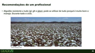 46
• Algodão resistente a tudo (gl, glt e glpp), pode se utilizar de tudo porquê é muito bom o
manejo. Durante todo o ciclo.
Recomendações de um profissional
Fonte: Embrapa, 2021.
 