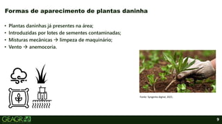 9
• Plantas daninhas já presentes na área;
• Introduzidas por lotes de sementes contaminadas;
• Misturas mecânicas  limpeza de maquinário;
• Vento  anemocoria.
Formas de aparecimento de plantas daninha
Fonte: Syngenta digital, 2021.
 