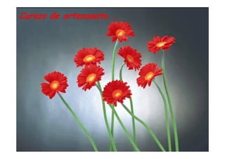 Cursos de artesanato...
 