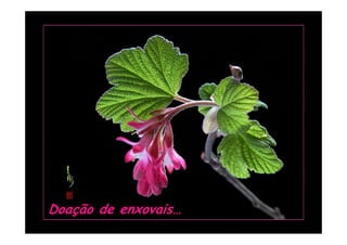 Doação de enxovais…
 