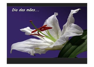 Dia das mães...
 