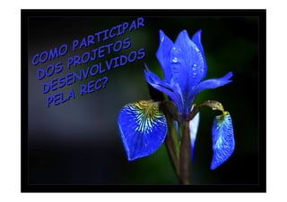 IPAR
            TIC S
          AR TO
        P
   MO OJE DOS
CO PR
     S       LVI
 DO ENVO
  D ES REC?
   PE LA
 