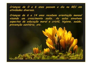 Crianças de 0 a 6 anos passam o dia na REC em
atividades diversas.
Crianças de 6 a 14 anos recebem orientação mensal
visando um crescimento sadio. As aulas envolvem
aspectos de educação moral e cristã, higiene, saúde,
prevenção sanitária, etc.
 