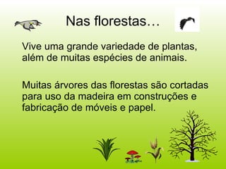 Nas florestas… Vive uma grande variedade de plantas, além de muitas espécies de animais. Muitas árvores das florestas são cortadas para uso da madeira em construções e fabricação de móveis e papel. 