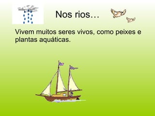 Nos rios… Vivem muitos seres vivos, como peixes e plantas aquáticas. 