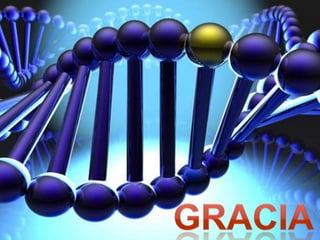 Apresentação Cri du Chat  