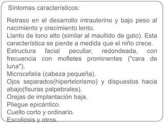 Síntomas característicos:
Retraso en el desarrollo intrauterino y bajo peso al
nacimiento y crecimiento lento.
Llanto de tono alto (similar al maullido de gato). Esta
característica se pierde a medida que el niño crece.
Estructura facial peculiar, redondeada, con
frecuencia con mofletes prominentes ("cara de
luna").
Microcefalia (cabeza pequeña).
Ojos separados(hipertelorismo) y dispuestos hacia
abajo(fisuras palpebrales).
Orejas de implantación baja.
Pliegue epicántico.
Cuello corto y ordinario.
Escoliosis y otros.
 