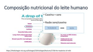 Composição nutricional do leite humano
https://thebiologist.rsb.org.uk/biologist/158-biologist/features/1758-the-mysteries-of-milk-
• Caseína + soro
• Razão soro/caseína
70/30;80/20 50/50
 