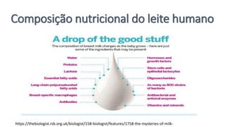 Composição nutricional do leite humano
https://thebiologist.rsb.org.uk/biologist/158-biologist/features/1758-the-mysteries-of-milk-
 