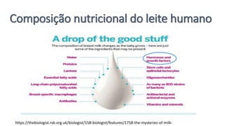 Composição nutricional do leite humano
https://thebiologist.rsb.org.uk/biologist/158-biologist/features/1758-the-mysteries-of-milk-
 