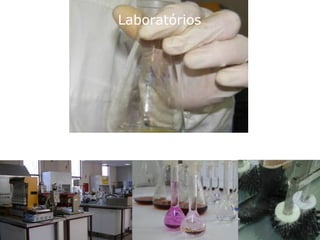 Laboratórios
 
