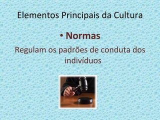 Elementos Principais da Cultura Normas Regulam os padrões de conduta dos indivíduos 