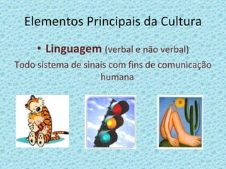 Elementos Principais da Cultura Linguagem   (verbal e não verbal) Todo sistema de sinais com fins de comunicação humana 