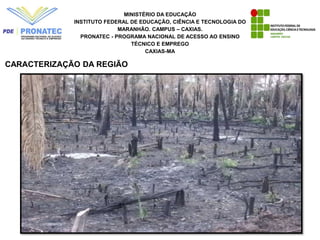 MINISTÉRIO DA EDUCAÇÃO
INSTITUTO FEDERAL DE EDUCAÇÃO, CIÊNCIA E TECNOLOGIA DO
MARANHÃO. CAMPUS – CAXIAS.
PRONATEC - PROGRAMA NACIONAL DE ACESSO AO ENSINO
TÉCNICO E EMPREGO
CAXIAS-MA
CARACTERIZAÇÃO DA REGIÃO
 