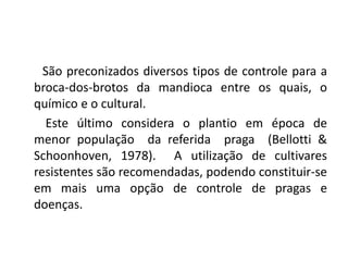 São preconizados diversos tipos de controle para a
broca-dos-brotos da mandioca entre os quais, o
químico e o cultural.
Este último considera o plantio em época de
menor população da referida praga (Bellotti &
Schoonhoven, 1978). A utilização de cultivares
resistentes são recomendadas, podendo constituir-se
em mais uma opção de controle de pragas e
doenças.
 