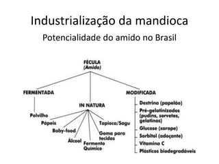 Industrialização da mandioca
Potencialidade do amido no Brasil
 