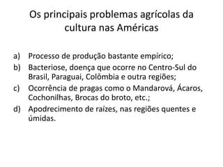 Os principais problemas agrícolas da
cultura nas Américas
a) Processo de produção bastante empírico;
b) Bacteriose, doença que ocorre no Centro-Sul do
Brasil, Paraguai, Colômbia e outra regiões;
c) Ocorrência de pragas como o Mandarová, Ácaros,
Cochonilhas, Brocas do broto, etc.;
d) Apodrecimento de raízes, nas regiões quentes e
úmidas.
 