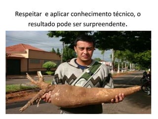 Respeitar e aplicar conhecimento técnico, o
resultado pode ser surpreendente.
 