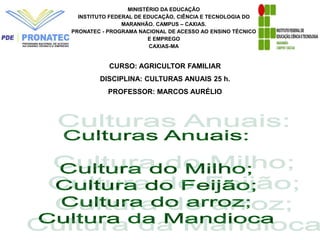 MINISTÉRIO DA EDUCAÇÃO
INSTITUTO FEDERAL DE EDUCAÇÃO, CIÊNCIA E TECNOLOGIA DO
MARANHÃO. CAMPUS – CAXIAS.
PRONATEC - PROGRAMA NACIONAL DE ACESSO AO ENSINO TÉCNICO
E EMPREGO
CAXIAS-MA
CURSO: AGRICULTOR FAMILIAR
DISCIPLINA: CULTURAS ANUAIS 25 h.
PROFESSOR: MARCOS AURÉLIO
 