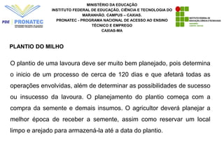 MINISTÉRIO DA EDUCAÇÃO
INSTITUTO FEDERAL DE EDUCAÇÃO, CIÊNCIA E TECNOLOGIA DO
MARANHÃO. CAMPUS – CAXIAS.
PRONATEC - PROGRAMA NACIONAL DE ACESSO AO ENSINO
TÉCNICO E EMPREGO
CAXIAS-MA
PLANTIO DO MILHO
O plantio de uma lavoura deve ser muito bem planejado, pois determina
o inicio de um processo de cerca de 120 dias e que afetará todas as
operações envolvidas, além de determinar as possibilidades de sucesso
ou insucesso da lavoura. O planejamento do plantio começa com a
compra da semente e demais insumos. O agricultor deverá planejar a
melhor época de receber a semente, assim como reservar um local
limpo e arejado para armazená-la até a data do plantio.
 