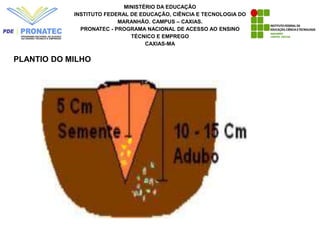 MINISTÉRIO DA EDUCAÇÃO
INSTITUTO FEDERAL DE EDUCAÇÃO, CIÊNCIA E TECNOLOGIA DO
MARANHÃO. CAMPUS – CAXIAS.
PRONATEC - PROGRAMA NACIONAL DE ACESSO AO ENSINO
TÉCNICO E EMPREGO
CAXIAS-MA
PLANTIO DO MILHO
 