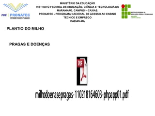 MINISTÉRIO DA EDUCAÇÃO
INSTITUTO FEDERAL DE EDUCAÇÃO, CIÊNCIA E TECNOLOGIA DO
MARANHÃO. CAMPUS – CAXIAS.
PRONATEC - PROGRAMA NACIONAL DE ACESSO AO ENSINO
TÉCNICO E EMPREGO
CAXIAS-MA
PLANTIO DO MILHO
PRAGAS E DOENÇAS
 