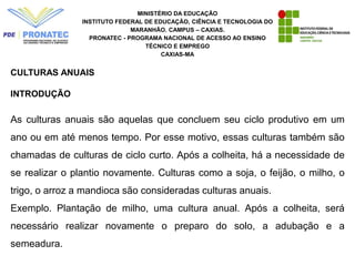 MINISTÉRIO DA EDUCAÇÃO
INSTITUTO FEDERAL DE EDUCAÇÃO, CIÊNCIA E TECNOLOGIA DO
MARANHÃO. CAMPUS – CAXIAS.
PRONATEC - PROGRAMA NACIONAL DE ACESSO AO ENSINO
TÉCNICO E EMPREGO
CAXIAS-MA
CULTURAS ANUAIS
INTRODUÇÃO
As culturas anuais são aquelas que concluem seu ciclo produtivo em um
ano ou em até menos tempo. Por esse motivo, essas culturas também são
chamadas de culturas de ciclo curto. Após a colheita, há a necessidade de
se realizar o plantio novamente. Culturas como a soja, o feijão, o milho, o
trigo, o arroz a mandioca são consideradas culturas anuais.
Exemplo. Plantação de milho, uma cultura anual. Após a colheita, será
necessário realizar novamente o preparo do solo, a adubação e a
semeadura.
 