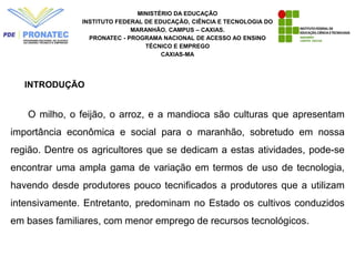 MINISTÉRIO DA EDUCAÇÃO
INSTITUTO FEDERAL DE EDUCAÇÃO, CIÊNCIA E TECNOLOGIA DO
MARANHÃO. CAMPUS – CAXIAS.
PRONATEC - PROGRAMA NACIONAL DE ACESSO AO ENSINO
TÉCNICO E EMPREGO
CAXIAS-MA
O milho, o feijão, o arroz, e a mandioca são culturas que apresentam
importância econômica e social para o maranhão, sobretudo em nossa
região. Dentre os agricultores que se dedicam a estas atividades, pode-se
encontrar uma ampla gama de variação em termos de uso de tecnologia,
havendo desde produtores pouco tecnificados a produtores que a utilizam
intensivamente. Entretanto, predominam no Estado os cultivos conduzidos
em bases familiares, com menor emprego de recursos tecnológicos.
INTRODUÇÃO
 