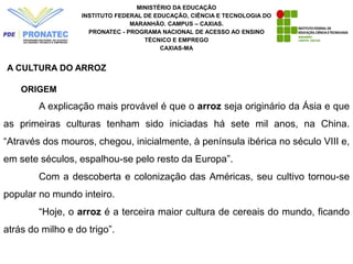 MINISTÉRIO DA EDUCAÇÃO
INSTITUTO FEDERAL DE EDUCAÇÃO, CIÊNCIA E TECNOLOGIA DO
MARANHÃO. CAMPUS – CAXIAS.
PRONATEC - PROGRAMA NACIONAL DE ACESSO AO ENSINO
TÉCNICO E EMPREGO
CAXIAS-MA
A CULTURA DO ARROZ
ORIGEM
A explicação mais provável é que o arroz seja originário da Ásia e que
as primeiras culturas tenham sido iniciadas há sete mil anos, na China.
“Através dos mouros, chegou, inicialmente, à península ibérica no século VIII e,
em sete séculos, espalhou-se pelo resto da Europa”.
Com a descoberta e colonização das Américas, seu cultivo tornou-se
popular no mundo inteiro.
“Hoje, o arroz é a terceira maior cultura de cereais do mundo, ficando
atrás do milho e do trigo”.
 