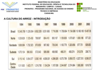 MINISTÉRIO DA EDUCAÇÃO
INSTITUTO FEDERAL DE EDUCAÇÃO, CIÊNCIA E TECNOLOGIA DO
MARANHÃO. CAMPUS – CAXIAS.
PRONATEC - PROGRAMA NACIONAL DE ACESSO AO ENSINO
TÉCNICO E EMPREGO
CAXIAS-MA
A CULTURA DO ARROZ - INTRODUÇÃO
 