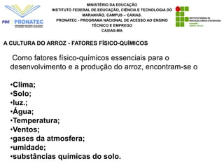 MINISTÉRIO DA EDUCAÇÃO
INSTITUTO FEDERAL DE EDUCAÇÃO, CIÊNCIA E TECNOLOGIA DO
MARANHÃO. CAMPUS – CAXIAS.
PRONATEC - PROGRAMA NACIONAL DE ACESSO AO ENSINO
TÉCNICO E EMPREGO
CAXIAS-MA
A CULTURA DO ARROZ - FATORES FÍSICO-QUÍMICOS
Como fatores físico-químicos essenciais para o
desenvolvimento e a produção do arroz, encontram-se o
•Clima;
•Solo;
•luz.;
•Água;
•Temperatura;
•Ventos;
•gases da atmosfera;
•umidade;
•substâncias químicas do solo.
 