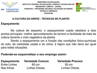 MINISTÉRIO DA EDUCAÇÃO
INSTITUTO FEDERAL DE EDUCAÇÃO, CIÊNCIA E TECNOLOGIA DO
MARANHÃO. CAMPUS – CAXIAS.
PRONATEC - PROGRAMA NACIONAL DE ACESSO AO ENSINO
TÉCNICO E EMPREGO
CAXIAS-MA
A CULTURA DO ARROZ - TÉCNICAS DE PLANTIO
Espaçamento
Na cultura de sequeiro, o espaçamento usado obedece a dois
pontos principais: melhor aproveitamento do terreno e facilidade de trato da
cultura durante o ciclo vegetativo da planta.
Sendo o espaçamento um a função das condições físico-químicas
do solo, da variedade usada e do clima, é lógico que não deve ser igual
para todas situações.
Podendo-se esquematizar o seu emprego assim:
Espaçamento Variedade Comum Variedade Precoce
Entre Linhas 60 cm 50 cm
Nas linhas Linhas Cheias Linhas Cheias
 