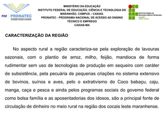 MINISTÉRIO DA EDUCAÇÃO
INSTITUTO FEDERAL DE EDUCAÇÃO, CIÊNCIA E TECNOLOGIA DO
MARANHÃO. CAMPUS – CAXIAS.
PRONATEC - PROGRAMA NACIONAL DE ACESSO AO ENSINO
TÉCNICO E EMPREGO
CAXIAS-MA
No aspecto rural a região caracteriza-se pela exploração de lavouras
sazonais, com o plantio de arroz, milho, feijão, mandioca de forma
rudimentar sem uso de tecnologias de produção em sequeiro com caráter
de subsistência, pela pecuária de pequenas criações no sistema extensivo
de bovinos, suínos e aves, pelo o extrativismo do Coco babaçu, caju,
manga, caça e pesca e ainda pelos programas sociais do governo federal
como bolsa família e as aposentadorias dos idosos, são a principal fonte de
circulação de dinheiro no meio rural na região dos cocais leste maranhense.
CARACTERIZAÇÃO DA REGIÃO
 