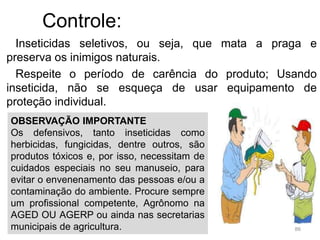 Controle:
Inseticidas seletivos, ou seja, que mata a praga e
preserva os inimigos naturais.
Respeite o período de carência do produto; Usando
inseticida, não se esqueça de usar equipamento de
proteção individual.
86
OBSERVAÇÃO IMPORTANTE
Os defensivos, tanto inseticidas como
herbicidas, fungicidas, dentre outros, são
produtos tóxicos e, por isso, necessitam de
cuidados especiais no seu manuseio, para
evitar o envenenamento das pessoas e/ou a
contaminação do ambiente. Procure sempre
um profissional competente, Agrônomo na
AGED OU AGERP ou ainda nas secretarias
municipais de agricultura.
 