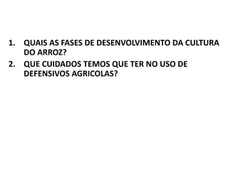 1. QUAIS AS FASES DE DESENVOLVIMENTO DA CULTURA
DO ARROZ?
2. QUE CUIDADOS TEMOS QUE TER NO USO DE
DEFENSIVOS AGRICOLAS?
 