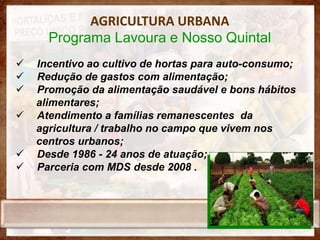 AGRICULTURA URBANA
      Programa Lavoura e Nosso Quintal
   Incentivo ao cultivo de hortas para auto-consumo;
   Redução de gastos com alimentação;
   Promoção da alimentação saudável e bons hábitos
    alimentares;
   Atendimento a famílias remanescentes da
    agricultura / trabalho no campo que vivem nos
    centros urbanos;
   Desde 1986 - 24 anos de atuação;
   Parceria com MDS desde 2008 .
 