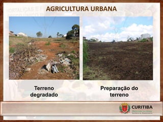 AGRICULTURA URBANA




 Terreno          Preparação do
degradado            terreno
 