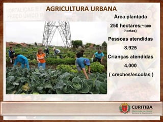 AGRICULTURA URBANA
                 Área plantada
                250 hectares(*1300
                      hortas)

               Pessoas atendidas
                      8.925
               Crianças atendidas
                      4.000
               ( creches/escolas )
 