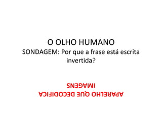 O OLHO HUMANO
SONDAGEM: Por que a frase está escrita
invertida?
APARELHOQUEDECODIFICA
IMAGENS
 