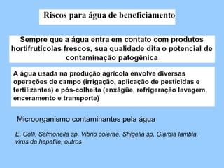 Microorganismo contaminantes pela água
E. Colli, Salmonella sp, Vibrio colerae, Shigella sp, Giardia lambia,
virus da hepatite, outros
 